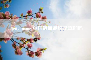 泉州中国冠军品牌是真的吗