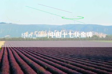 泉州中国十七块金牌