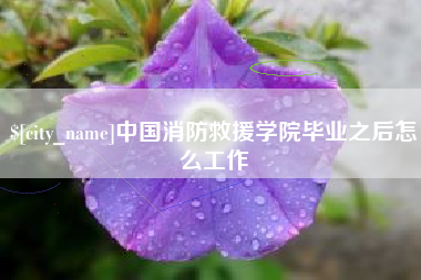 泉州中国消防救援学院毕业之后怎么工作