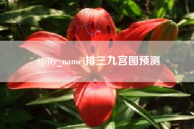 泉州排三九宫图预测