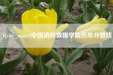 泉州中国消防救援学院历年分数线