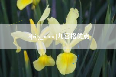 泉州九宫格优点