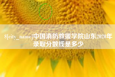 泉州中国消防救援学院山东2020年录取分数线是多少
