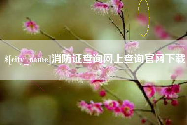 泉州消防证查询网上查询官网下载