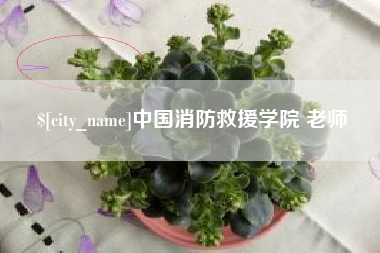 泉州中国消防救援学院 老师
