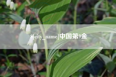 泉州中国第9金