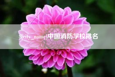 泉州中国消防学校排名