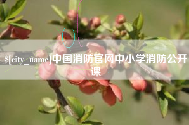泉州中国消防官网中小学消防公开课