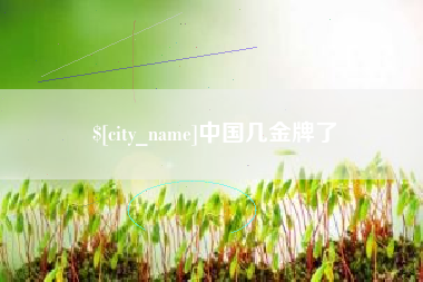 泉州中国几金牌了