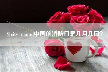 泉州中国的消防日是几月几日？