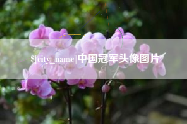 泉州中国冠军头像图片