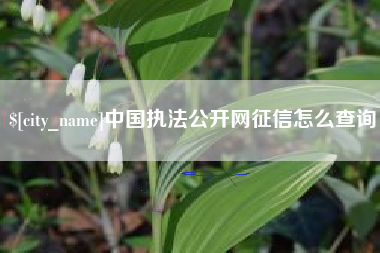 泉州中国执法公开网征信怎么查询