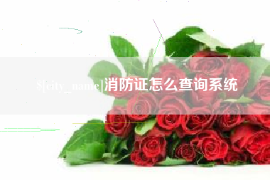 泉州消防证怎么查询系统