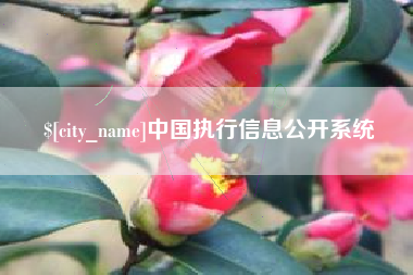 泉州中国执行信息公开系统