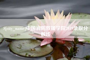 泉州中国消防救援学院2019录取分数线