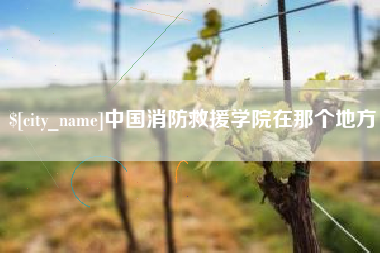 泉州中国消防救援学院在那个地方