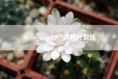 泉州2021消防分数线