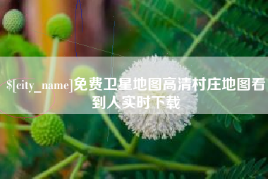 泉州免费卫星地图高清村庄地图看到人实时下载