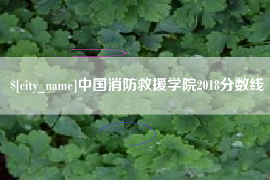 泉州中国消防救援学院2018分数线