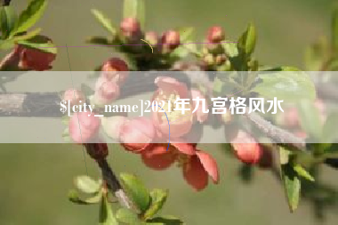 泉州2021年九宫格风水