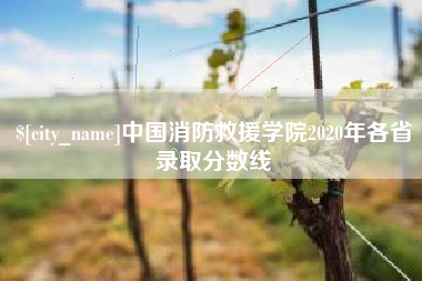 泉州中国消防救援学院2020年各省录取分数线