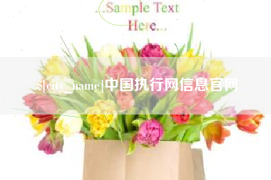 泉州中国执行网信息官网