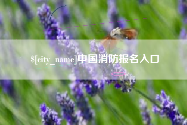 泉州中国消防报名入口