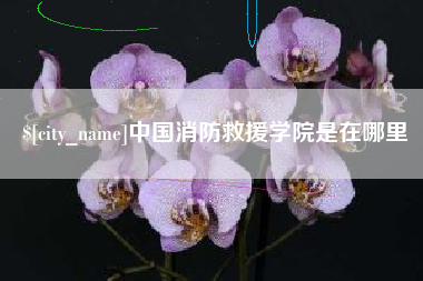 泉州中国消防救援学院是在哪里