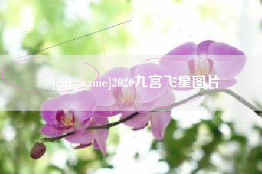 泉州2020九宫飞星图片