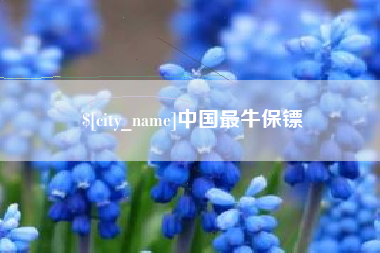 泉州中国最牛保镖