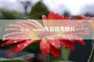 泉州九宫格龙图片