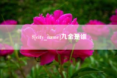 泉州九金是谁