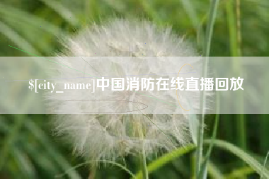 泉州中国消防在线直播回放
