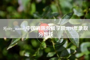 泉州中国消防救援学院2019年录取分数线