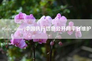 泉州中国执行信息公开网平台维护