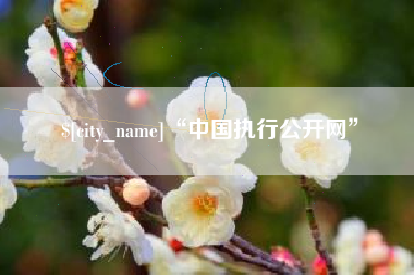 泉州“中国执行公开网”