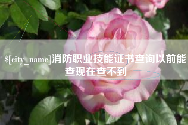 泉州消防职业技能证书查询以前能查现在查不到