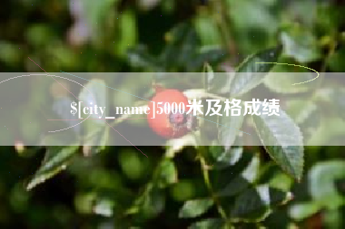 泉州5000米及格成绩