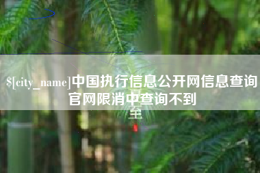 泉州中国执行信息公开网信息查询官网限消中查询不到