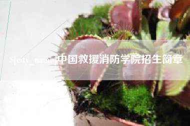 泉州中国救援消防学院招生简章
