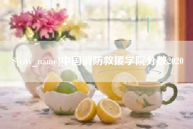泉州中国消防救援学院分数2020