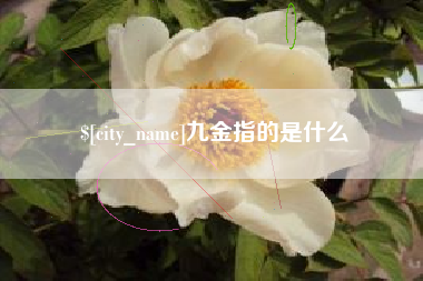 泉州九金指的是什么