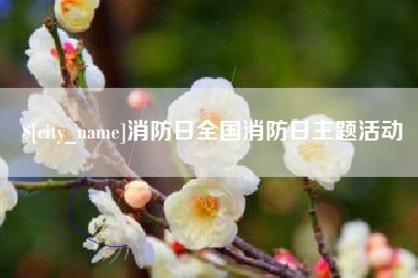 泉州消防日全国消防日主题活动