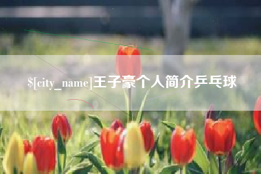 泉州王子豪个人简介乒乓球
