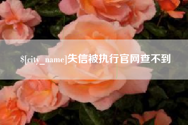 泉州失信被执行官网查不到