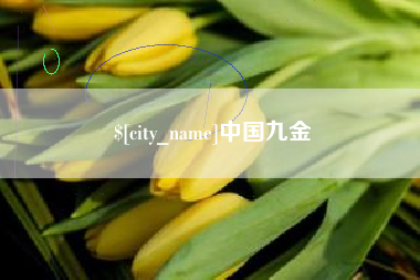 泉州中国九金