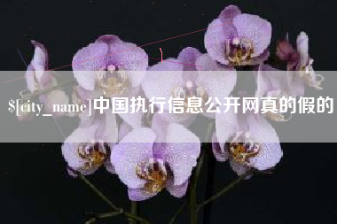 泉州中国执行信息公开网真的假的