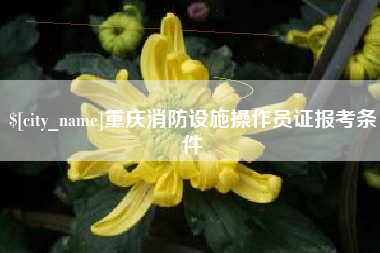 泉州重庆消防设施操作员证报考条件