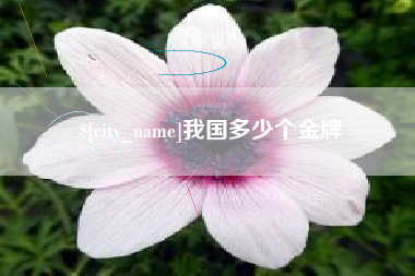 泉州我国多少个金牌