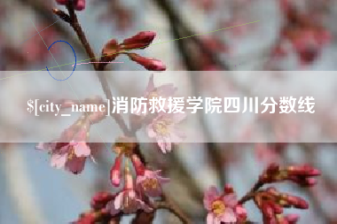 泉州消防救援学院四川分数线